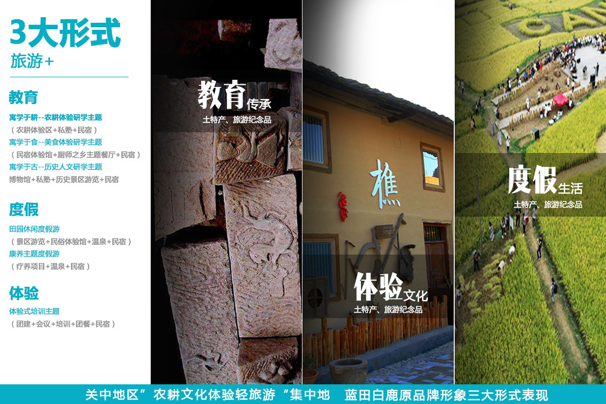图片12.jpg