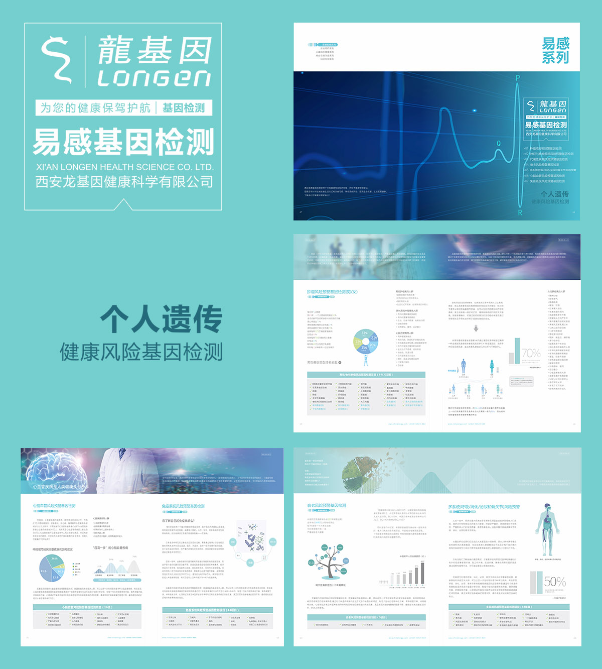 品牌设计画册设计宣传册设计龙基因健康科学.jpg